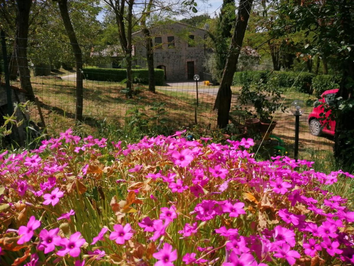 Agriturismo Il Cornalino Castel Viscardo Экстерьер фото