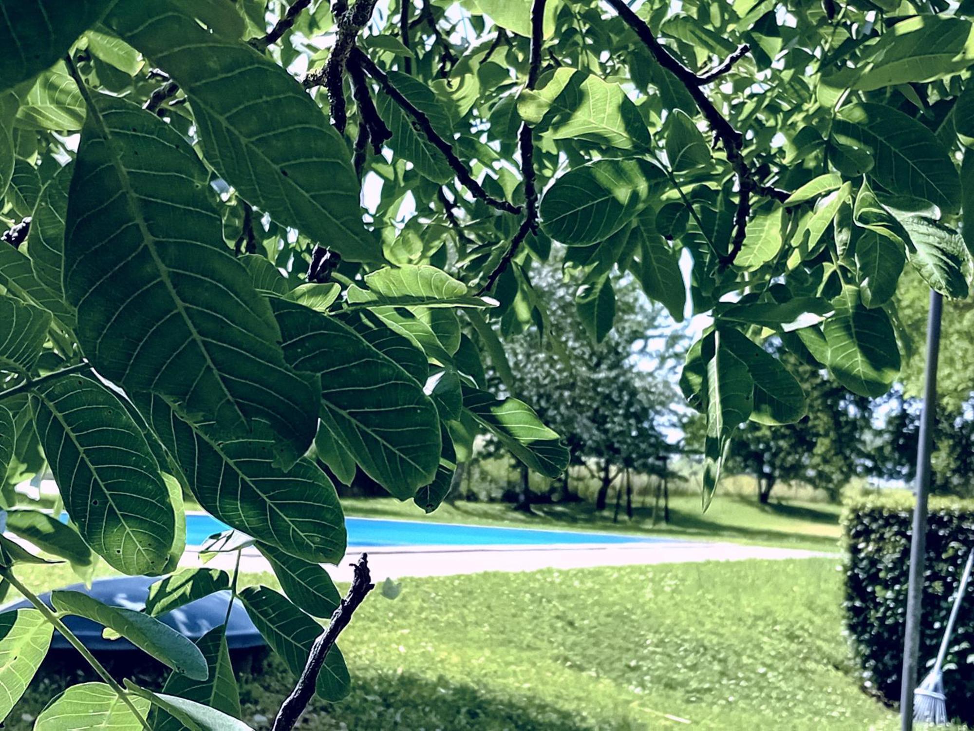 Agriturismo Il Cornalino Castel Viscardo Экстерьер фото