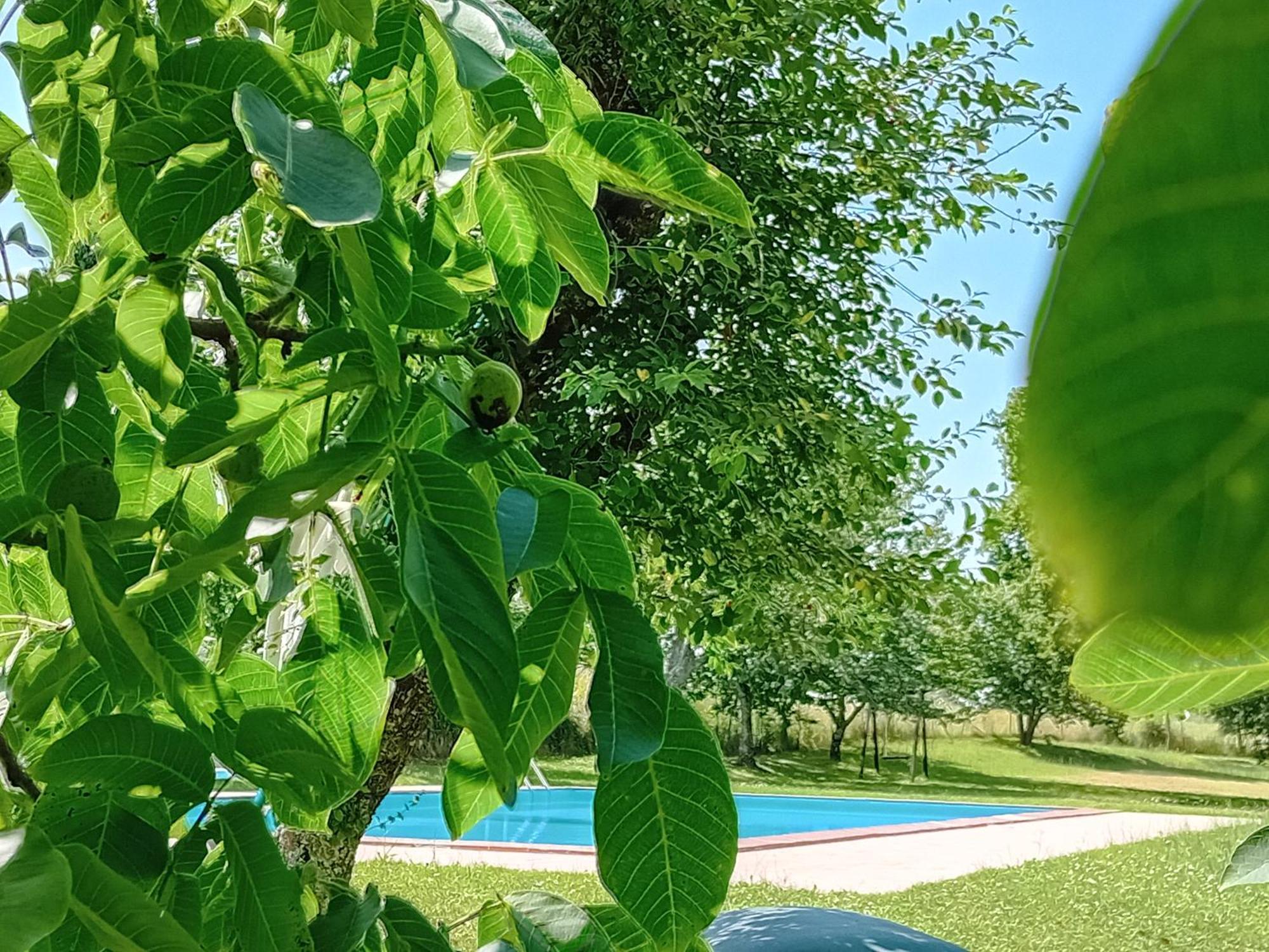Agriturismo Il Cornalino Castel Viscardo Экстерьер фото