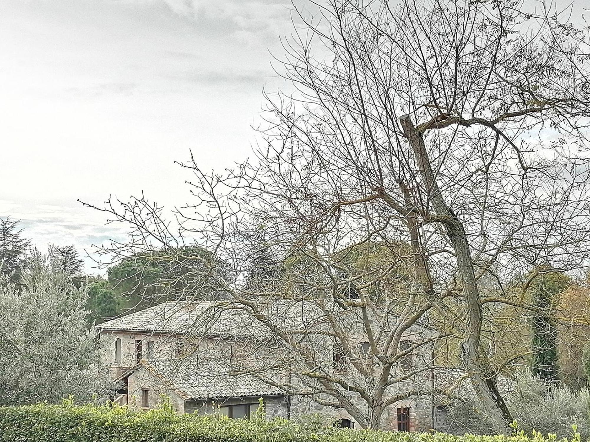 Agriturismo Il Cornalino Castel Viscardo Экстерьер фото