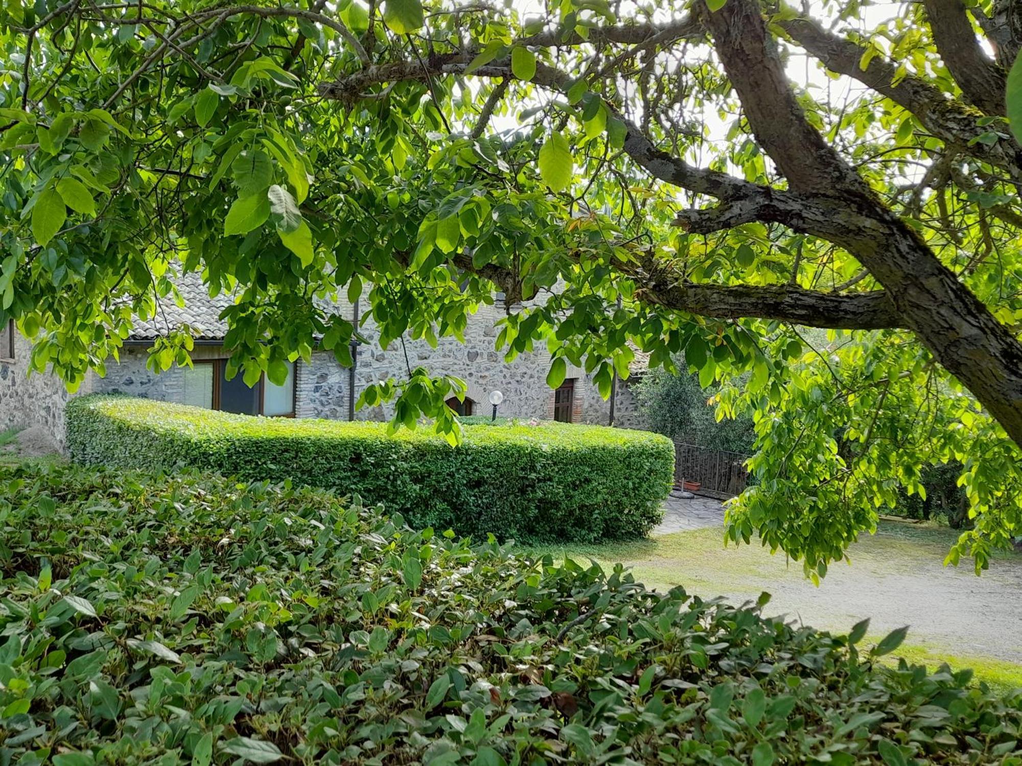 Agriturismo Il Cornalino Castel Viscardo Экстерьер фото